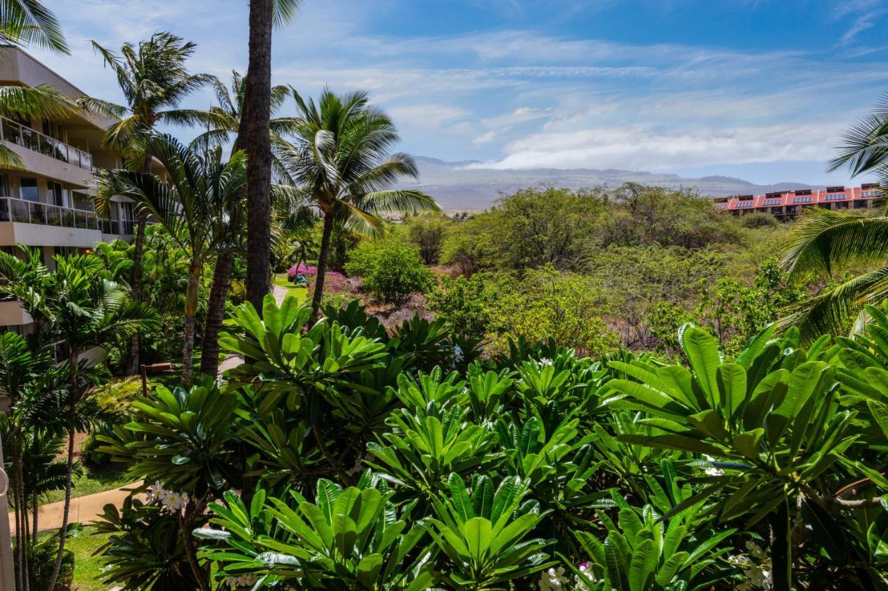 Maui Banyan H311 1Bd 2Ba 3 Min Walk To The Beach In The Heart Of South Kihei! ไวเลอา ภายนอก รูปภาพ