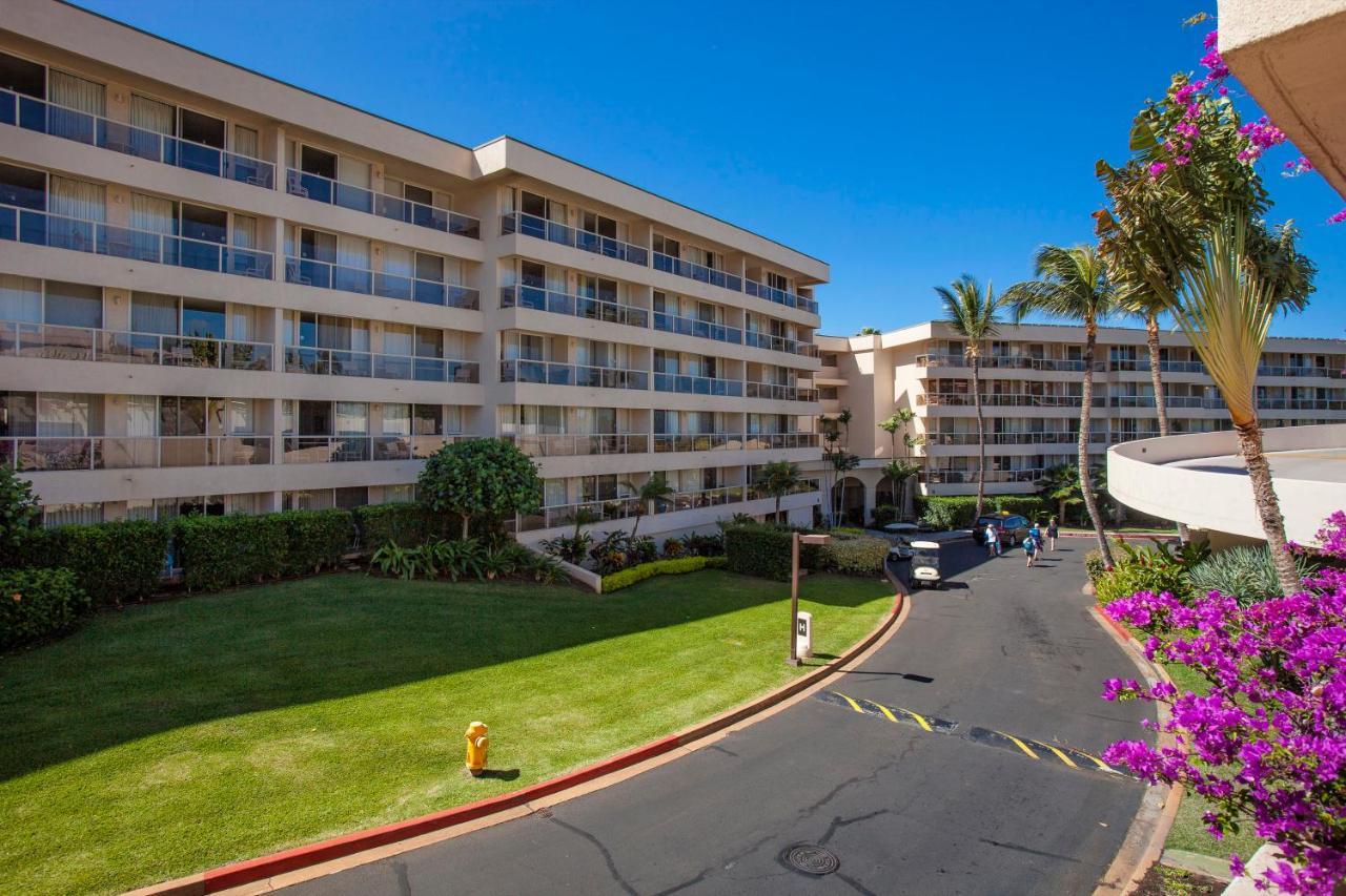 Maui Banyan H311 1Bd 2Ba 3 Min Walk To The Beach In The Heart Of South Kihei! ไวเลอา ภายนอก รูปภาพ
